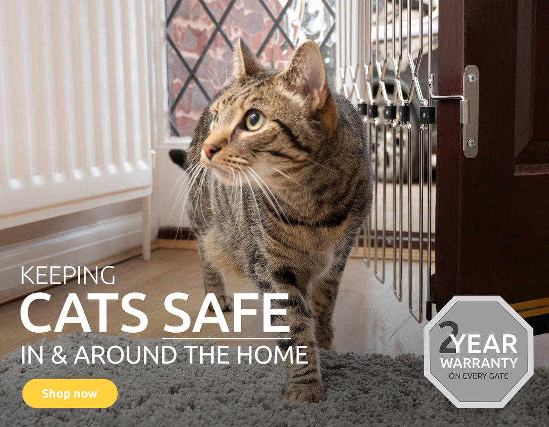 British-made cat safety gates – Cat-G8